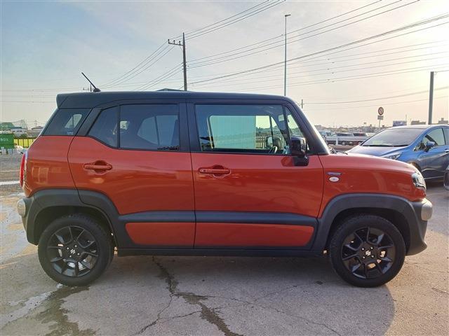 Suzuki XBEE 12