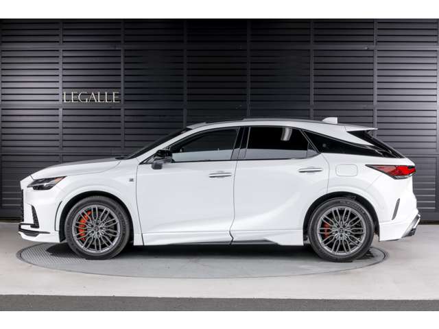 Lexus RX 11