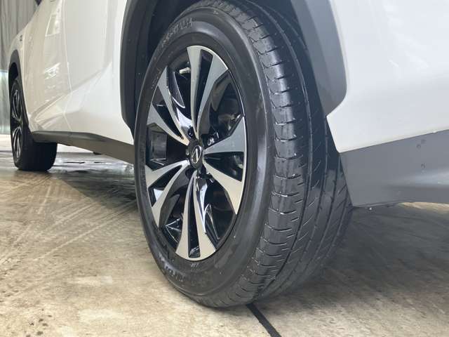 Lexus NX 11