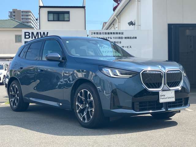 BMW X3 8