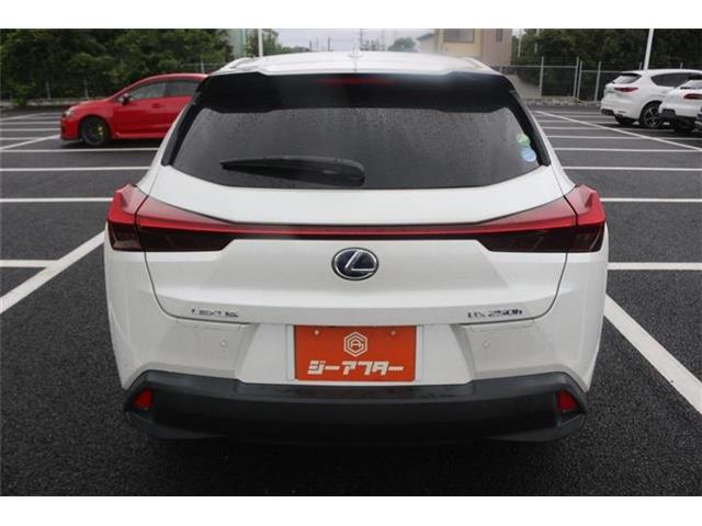 Lexus UX 11