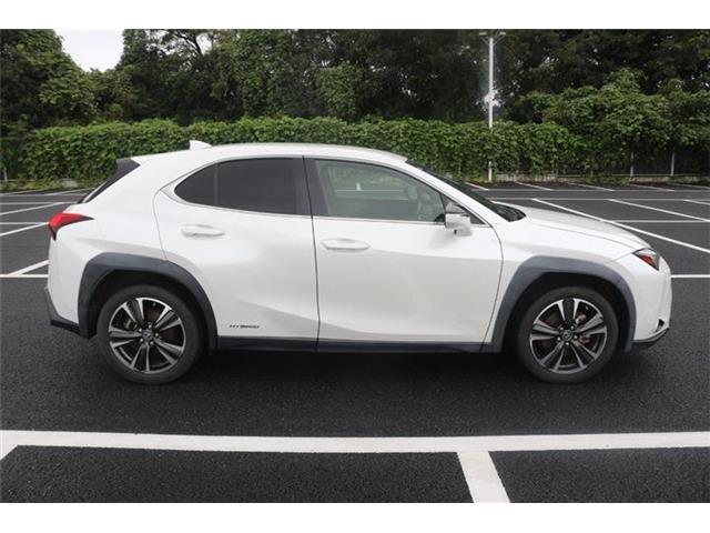 Lexus UX 9