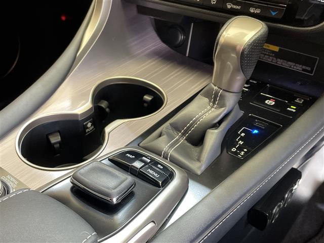 Lexus RX 11
