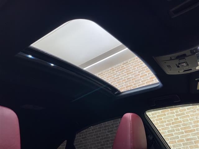 Lexus NX 4