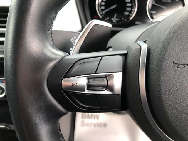 BMW X1 8