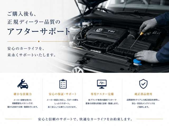 Volkswagen Passat Alltrack 4