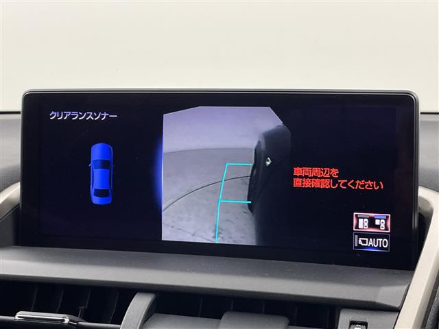 Lexus NX 12