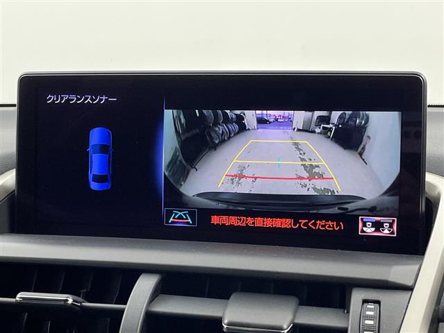 Lexus NX 4