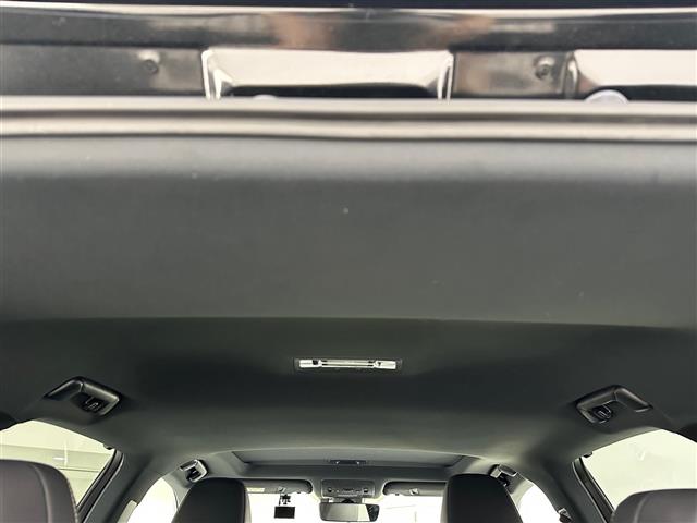 Lexus RX 11