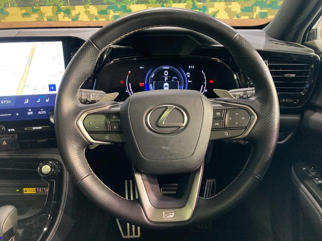 Lexus NX 11