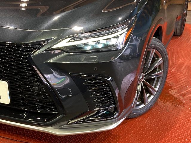 Lexus NX 12