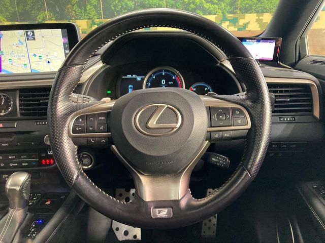 Lexus RX 11