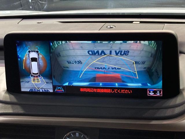 Lexus RX 6