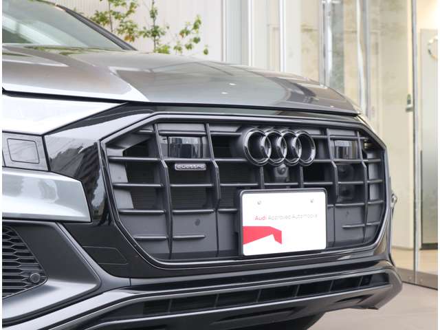 Audi Q8 11