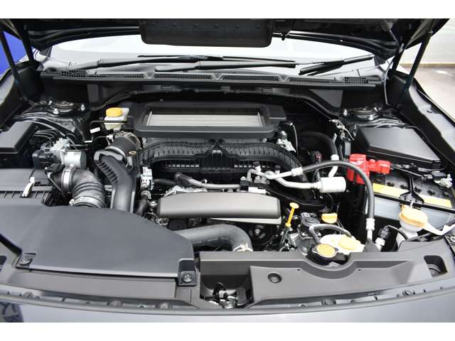 Subaru Levorg Layback 12
