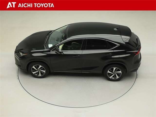 Lexus NX 11