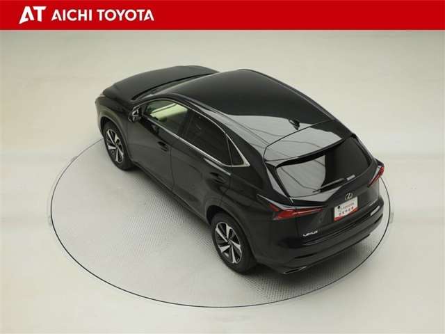 Lexus NX 12