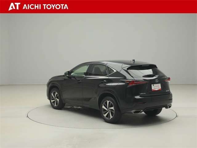 Lexus NX 4