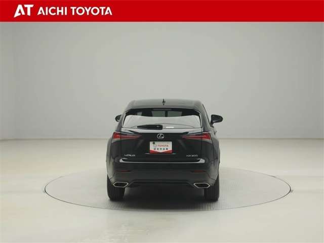 Lexus NX 5