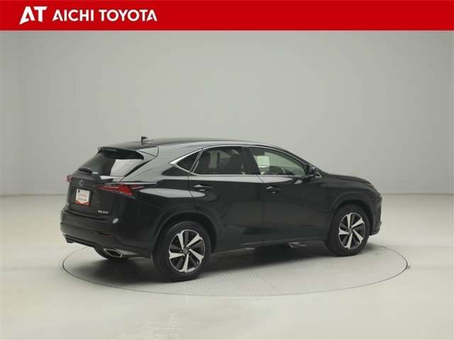 Lexus NX 6