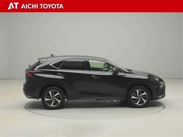Lexus NX 7