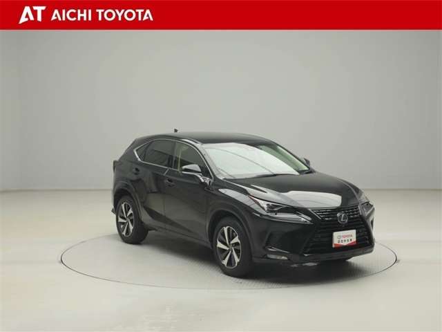 Lexus NX 8