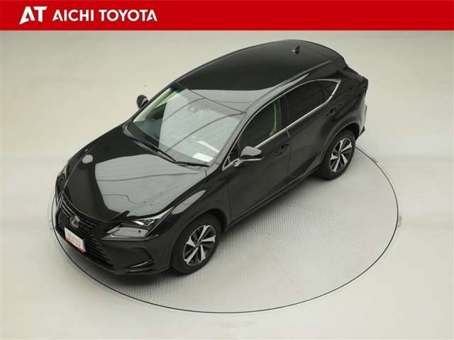 Lexus NX 10