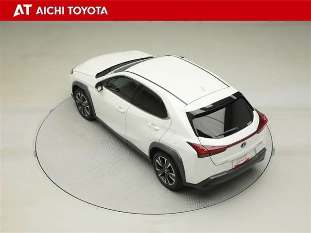 Lexus UX 12