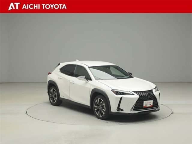 Lexus UX 8