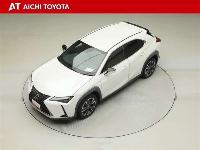 Lexus UX 10
