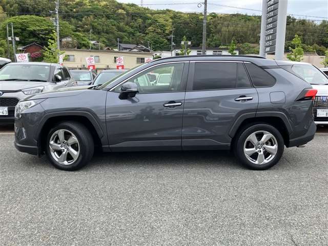 Toyota RAV4 10