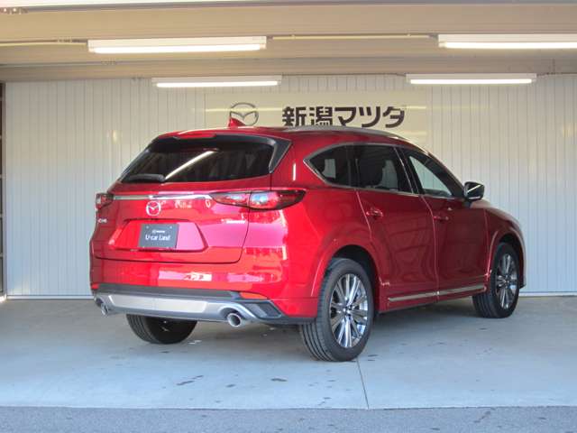 Mazda CX-8 6