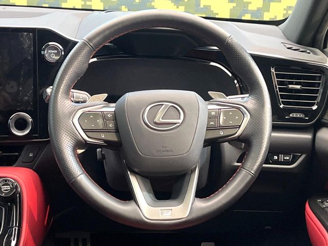 Lexus NX 11