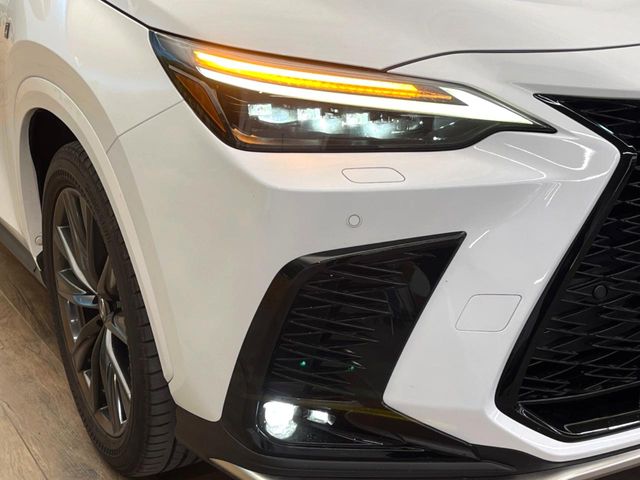 Lexus NX 12