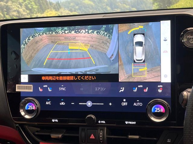 Lexus NX 4
