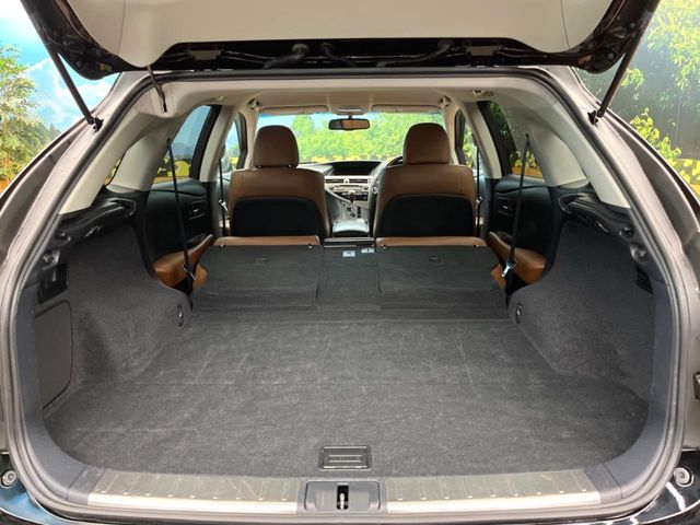 Lexus RX Hybrid 10