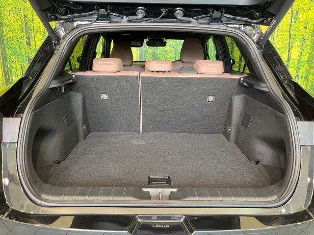 Lexus LBX 11