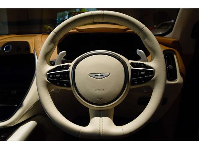 Aston Martin DBX 10
