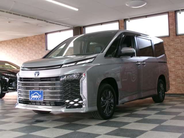 Toyota Voxy 8