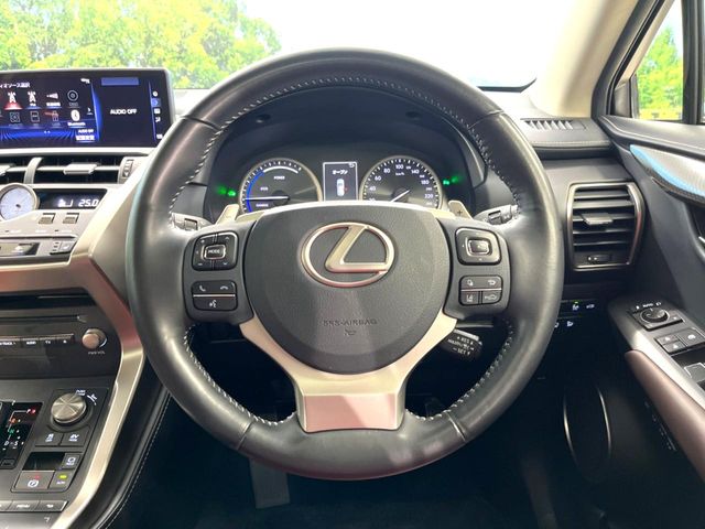 Lexus NX 11