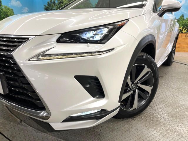 Lexus NX 12
