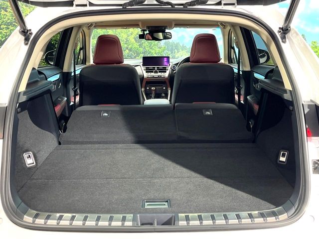 Lexus NX 10