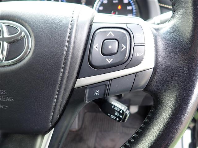 Toyota Harrier 10