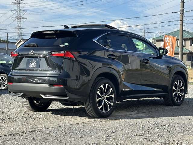 Lexus NX 11