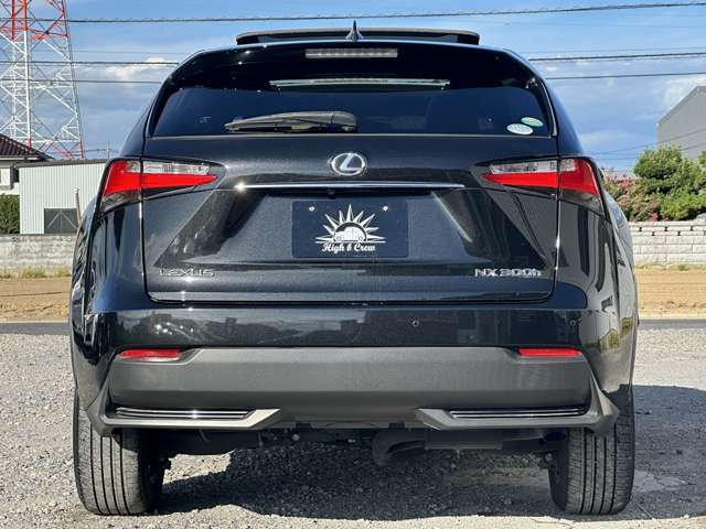 Lexus NX 12