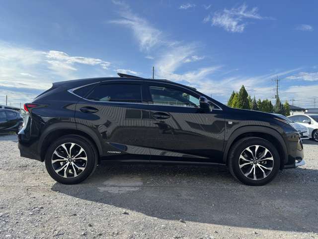 Lexus NX 10