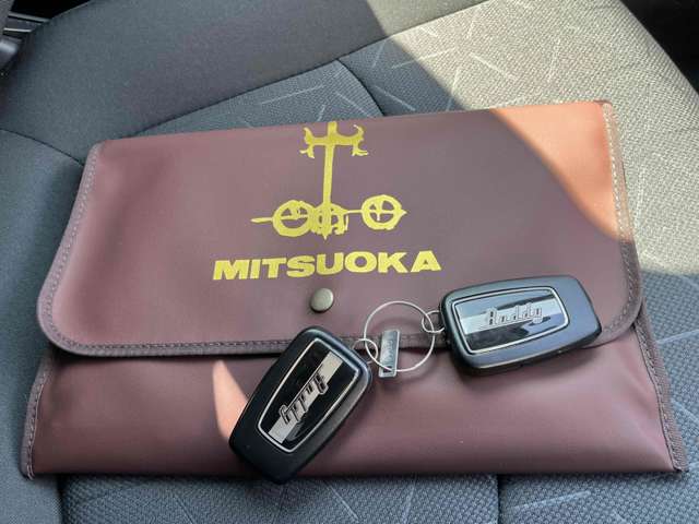 Mitsuoka バディ 12