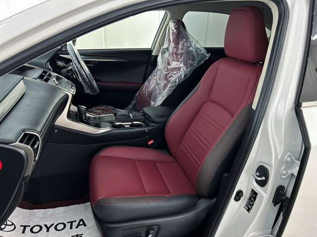 Lexus NX 11