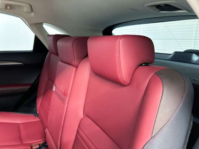 Lexus NX 12