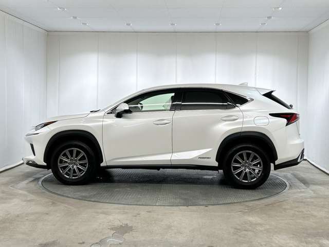 Lexus NX 4